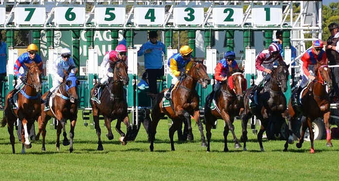 Horse_race